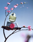 Memories of Japan - Sakura Snow