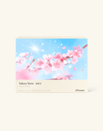Cherry Blossom Snow
