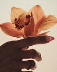 Brown Flowers