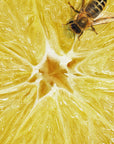 Italian Citrus