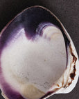 Rose Atlantic