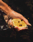 L'Eau