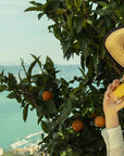 Bergamot of Positano