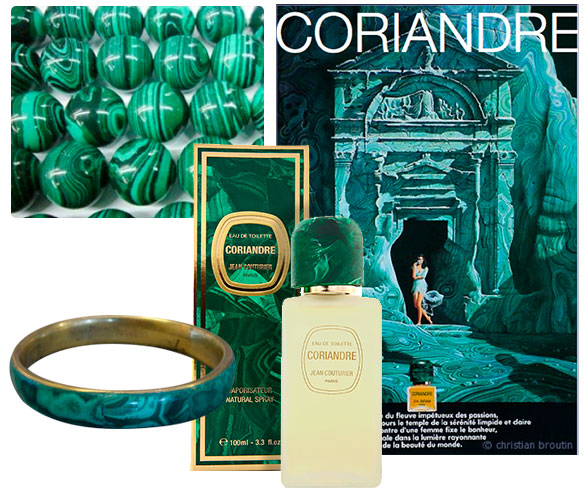 Coriandre