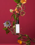 Progressive Botany Vol. I - Phloem