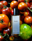 TIME - Pluck! (Limited Edition)