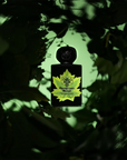 Limited Editions - Dangerous Maryx