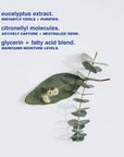 eucalyptus deodorant.