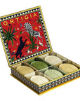Geschenkbox Dschungel rot mit 6 Olivenöl-Seifen