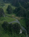 Enchanting Vietnam - Through The Forest