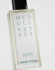Progressive Botany Vol. I - Medullary-Ray