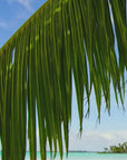 Aria di Mare