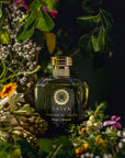 Garden of Youth (Baag-e-Javaani)