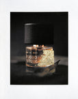 Gold Collection - Fuego Futuro
