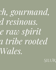 Silures