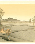 Nashi Toro
