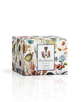 A'mmare body cream