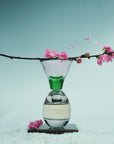 Cherry Blossom Snow