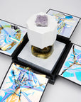 LUX VISIONARIA
