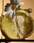 Celest
