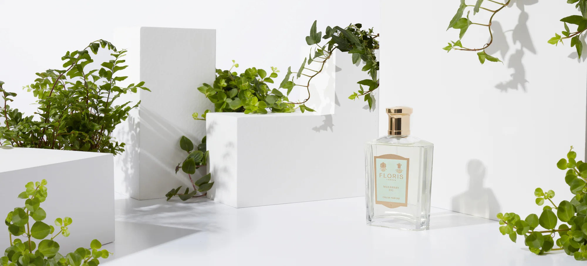Private Series - Mulberry Fig