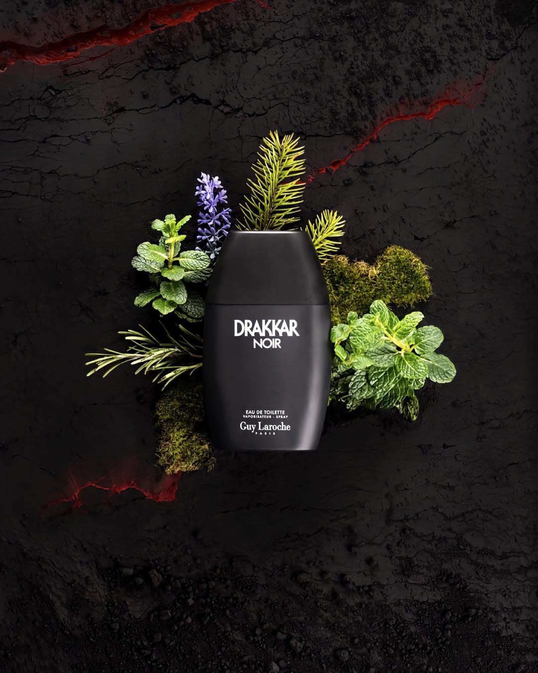 Drakkar Noir