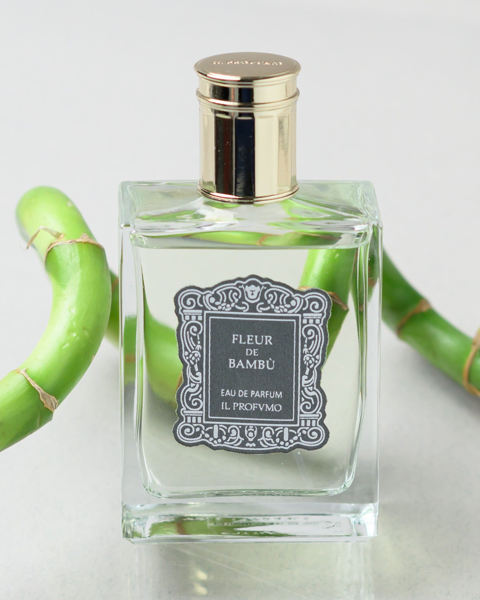 IL PROFVMO （FLEURDE BAMBÙ）