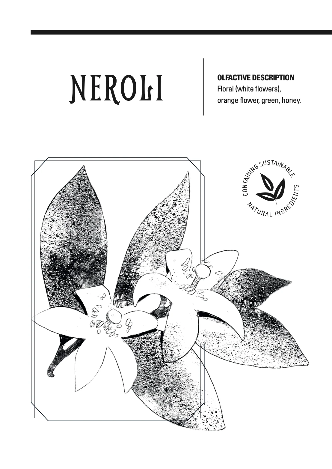 Borderline Neroli