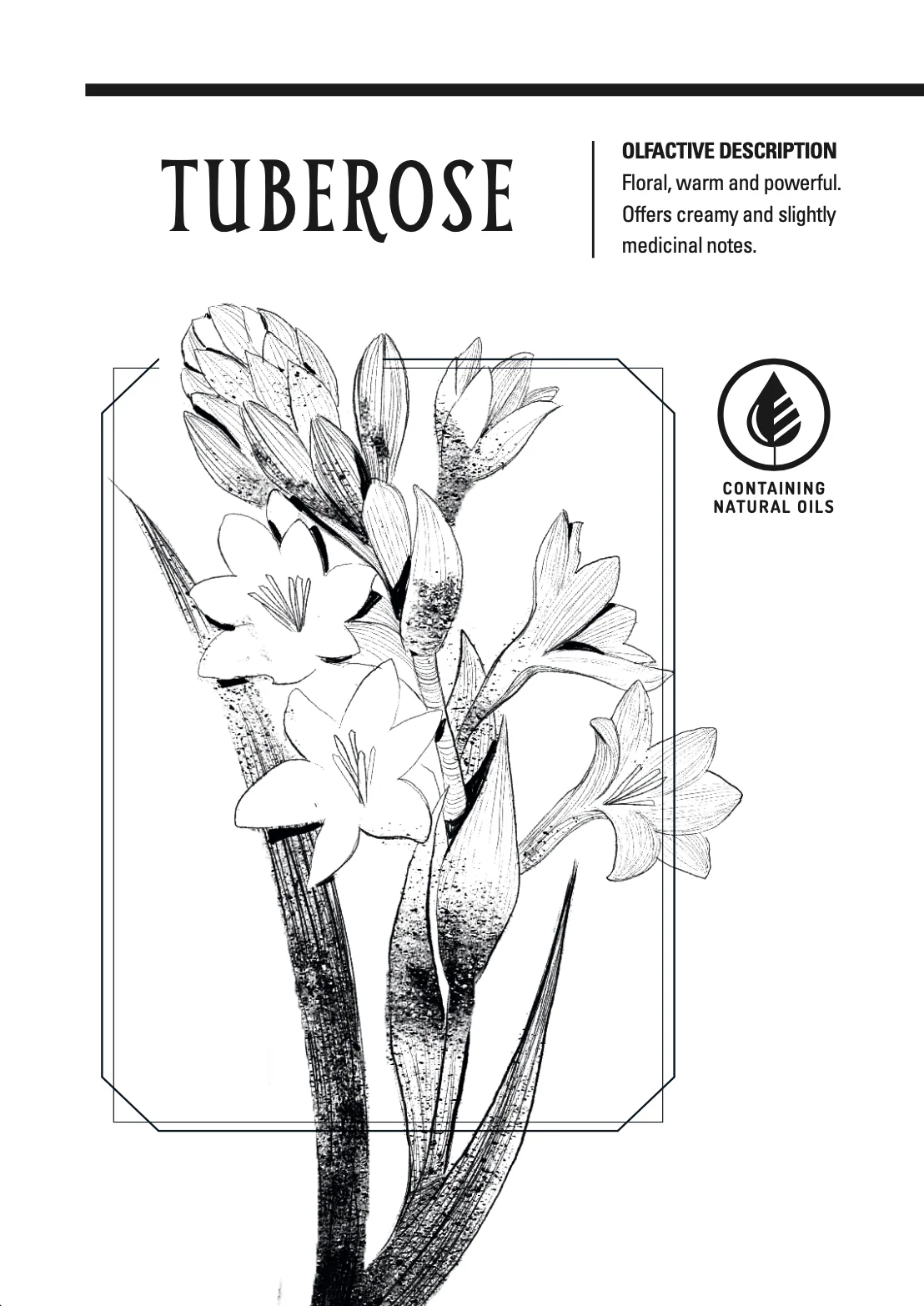 La Serra Borderline Neroli Parfum – Duftkunsthandlung