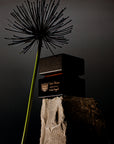 Dark Florum