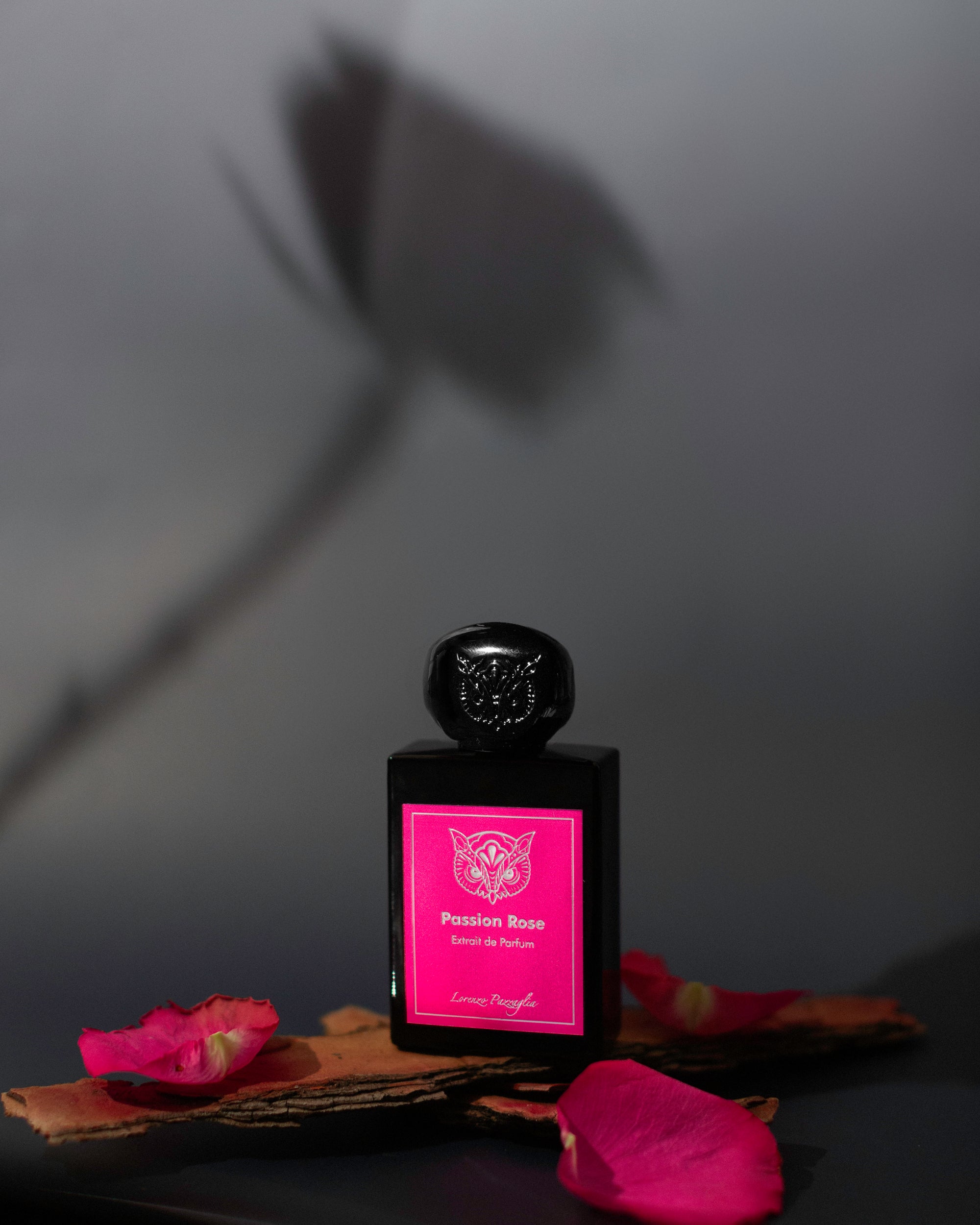 Love &amp; Passion Collection - Passion Rose