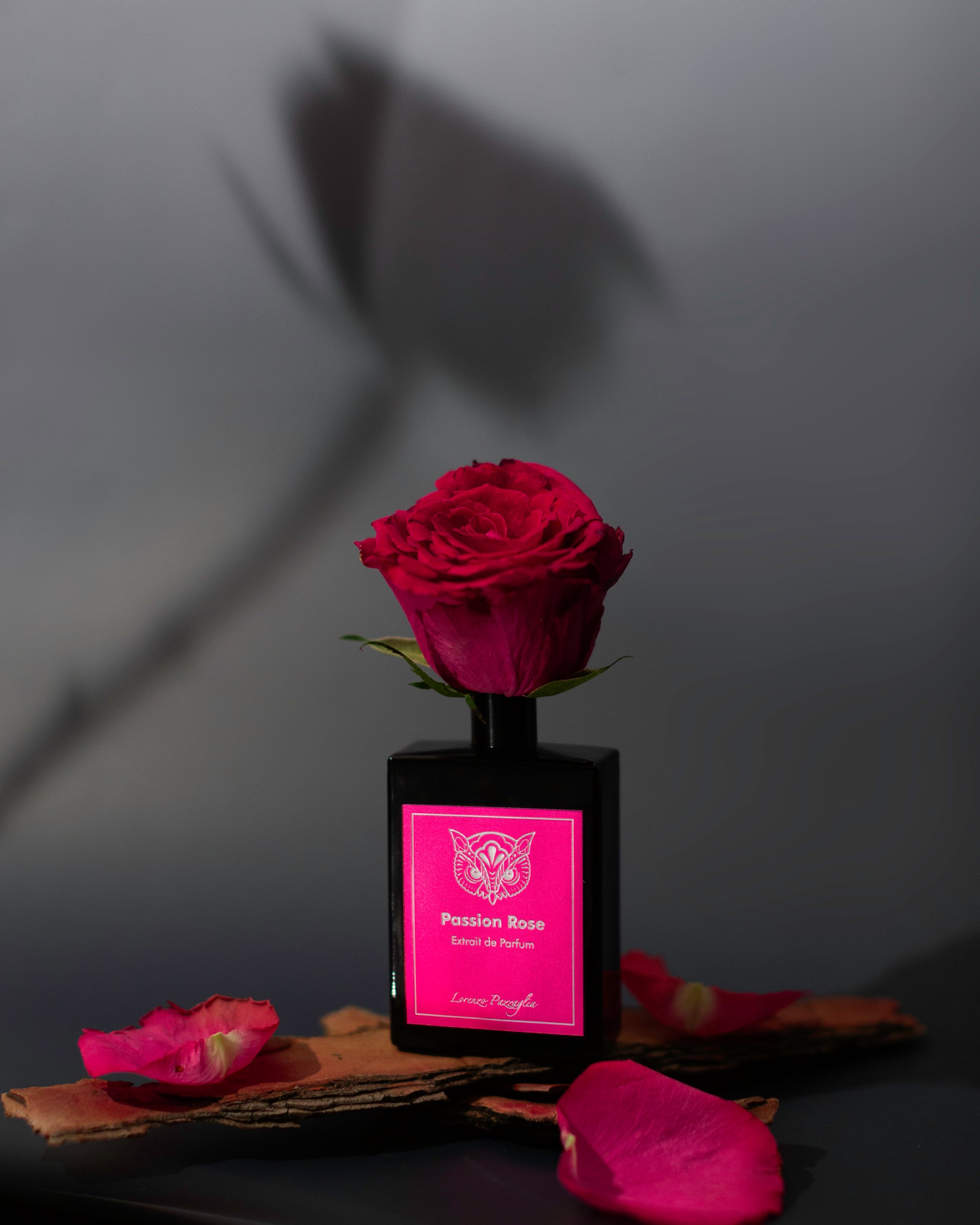 Love &amp; Passion Collection - Passion Rose