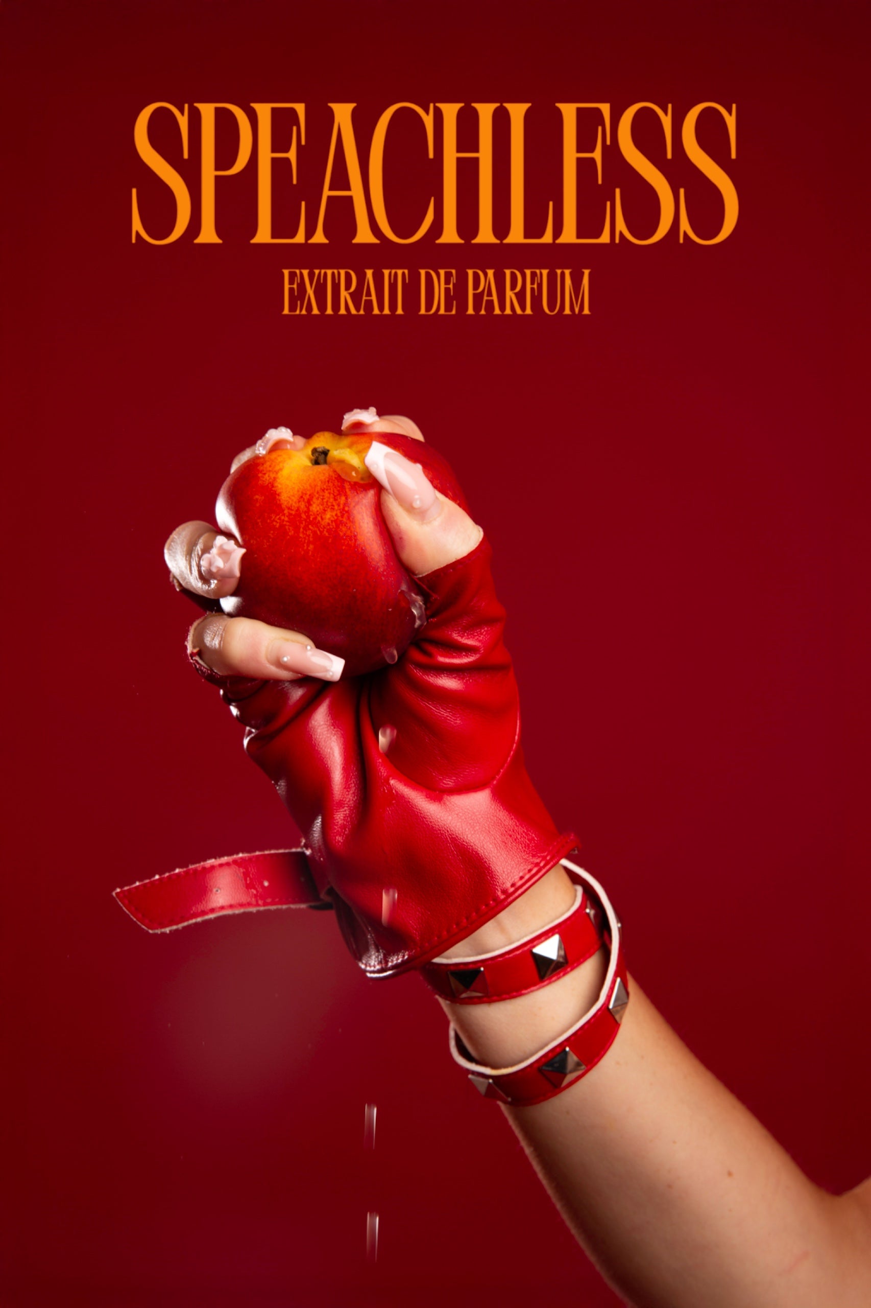 Cocktail Collection - Speachless