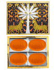 Ambra Nera Soap