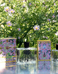 Aragona Eau de Parfum