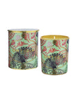 Fico d'India scented candle
