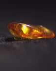 Golden Amber