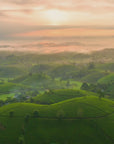 Discovery Set: Enchanting Vietnam