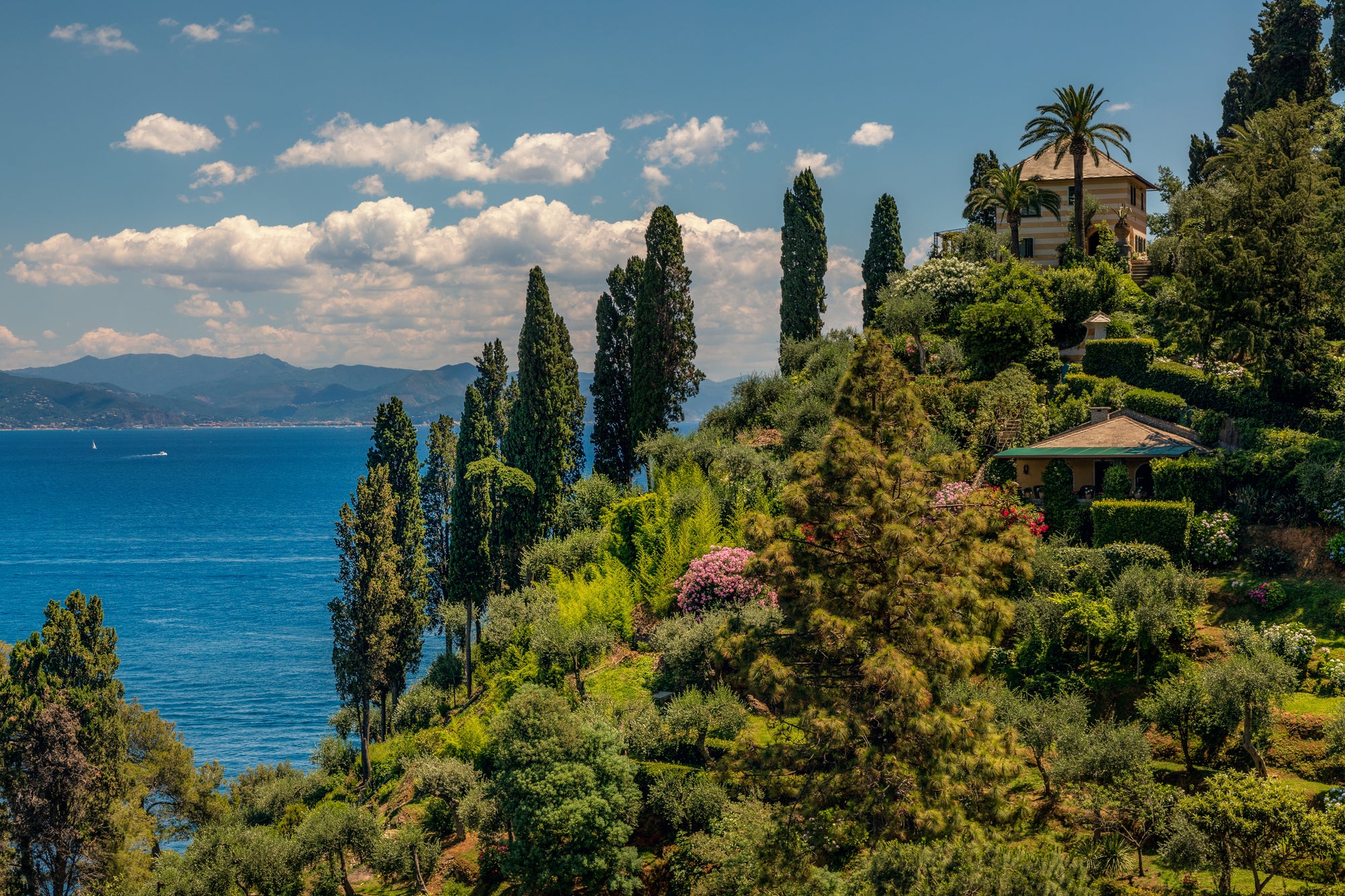 Splendido