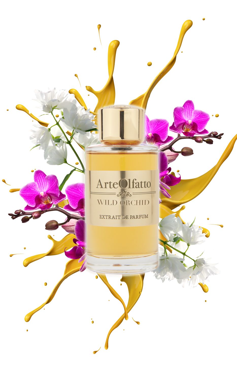 Wild Orchid