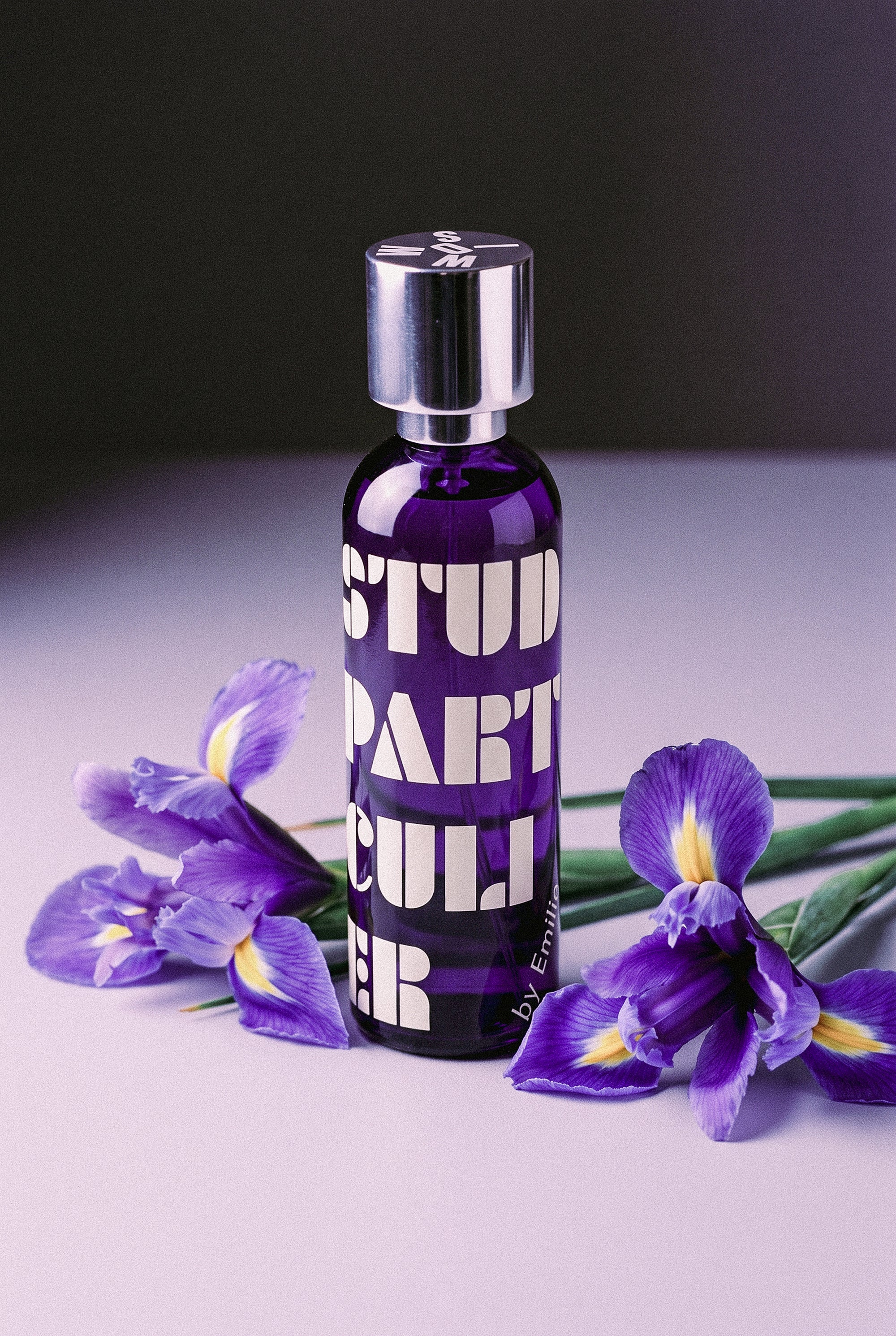Studio Particulier